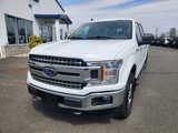 Used 2019 Ford F150 XLT w/ Equipment Group 302A Luxury image 4