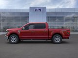 New 2025 Ford F150 XLT w/ Equipment Group 302A MID image 3