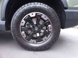 New 2026 Honda Passport TrailSport Elite image 5