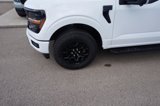 New 2025 Ford F150 XLT image 2