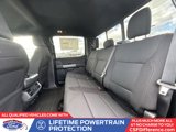 New 2025 Ford F150 XLT w/ Equipment Group 302A MID image 5