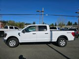 Used 2023 Ford F150 XLT image 4