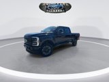 New 2025 Ford F250 Platinum image 4