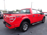 Used 2014 Ford F150 STX w/ Equipment Group 201A Mid image 6