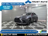 View Video