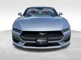 Used 2024 Ford Mustang Premium image 6