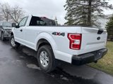 Used 2019 Ford F150 XL image 6