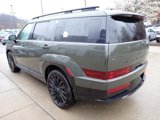 New 2025 Hyundai Santa Fe Calligraphy image 5