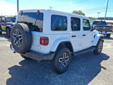 New 2025 Jeep Wrangler Sahara image 5