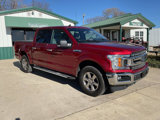 Used 2019 Ford F150 XLT w/ Equipment Group 302A Luxury image 3