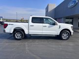 New 2025 Ford F150 XLT w/ Equipment Group 301A Standard image 2