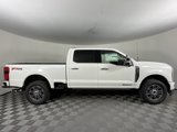 New 2025 Ford F250 Platinum image 2
