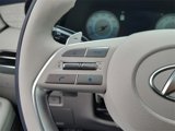 New 2025 Hyundai Palisade Calligraphy image 4