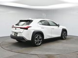 Used 2019 Lexus UX 250h w/ Premium Package image 5