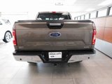 Certified 2019 Ford F150 XLT w/ Equipment Group 302A Luxury image 5