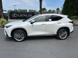 New 2025 Lexus NX 350 AWD w/ Luxury Package image 2
