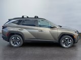 New 2025 Hyundai Tucson SEL image 4