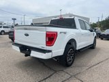 Certified 2023 Ford F150 XLT w/ Equipment Group 302A High image 4