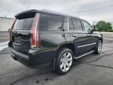 Used 2019 Cadillac Escalade Luxury image 5