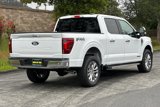 New 2025 Ford F150 Lariat w/ Equipment Group 501A Mid image 3