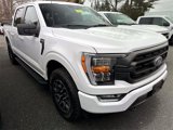 Certified 2022 Ford F150 XLT w/ Equipment Group 302A High image 4
