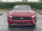 Used 2019 Ford Mustang Premium w/ Equipment Group 201A image 2