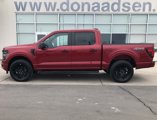 New 2025 Ford F150 STX w/ STX Black Appearance Package image 4