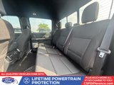 Certified 2023 Ford F150 XLT w/ Equipment Group 302A High image 4