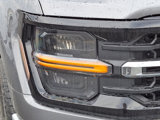 New 2025 Ford F150 XLT image 6