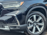 Used 2025 Honda Pilot Elite image 3