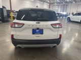 Used 2020 Ford Escape SE image 6