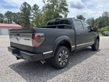 Used 2013 Ford F150 Platinum image 6