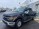 New 2025 Ford F150 XLT w/ Equipment Group 302A MID image 2