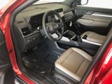 New 2026 GMC Terrain Elevation w/ Elevation Premium Package image 5