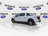 New 2025 Ford F150 XLT w/ Equipment Group 302A MID image 6