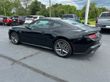 New 2025 Ford Mustang GT Premium image 4