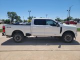 New 2025 Ford F250 Platinum image 5