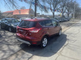 Used 2016 Ford Escape SE w/ SE Cold Weather Package image 4