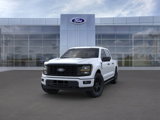 New 2025 Ford F150 STX w/ STX Black Appearance Package image 2