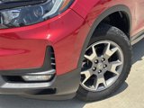 Used 2023 Honda Passport TrailSport image 2