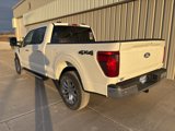 New 2025 Ford F150 XLT w/ Equipment Group 302A MID image 6
