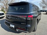 New 2025 INFINITI QX80 Sensory image 3