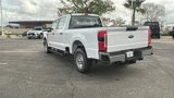 New 2025 Ford F250 XL image 5
