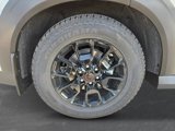 New 2025 Nissan Armada PRO-4X image 6