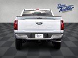 New 2025 Ford F150 XLT w/ Equipment Group 302A MID image 5