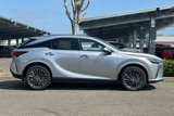 New 2025 Lexus RX 450h AWD w/ Luxury Package image 3