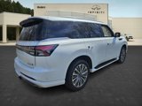 New 2025 INFINITI QX80 Sensory image 5
