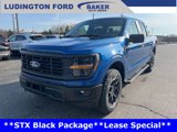 New 2025 Ford F150 STX w/ Equipment Group 201A FX4 image 3