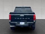 New 2025 Toyota Tacoma Limited image 4