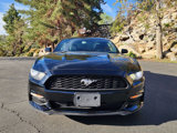 Used 2017 Ford Mustang Coupe image 3